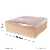 Art.7976 Caja Con Tapa Transparente 10x29x29cm 1pz