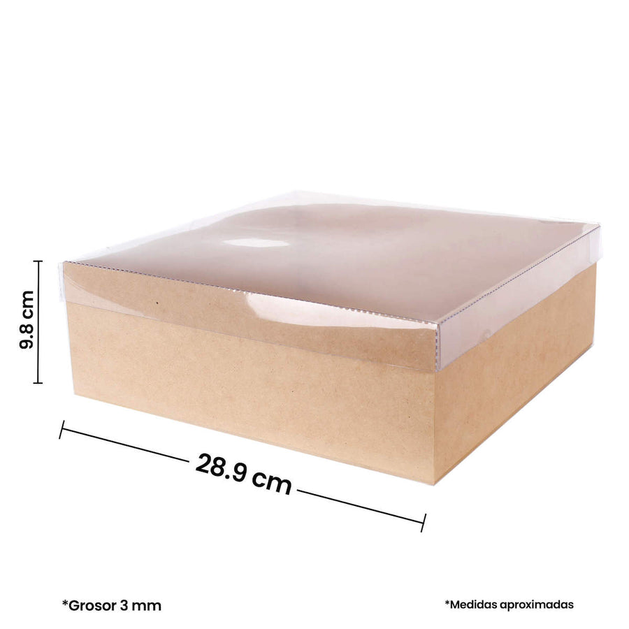 Art.7976 Caja Con Tapa Transparente 10x29x29cm 1pz