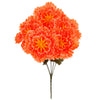 image variant Naranja