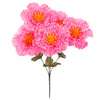image variant Rosa