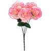 image variant Rosa