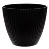 image variant Negro