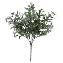 Art.9114 Planta Fina x5