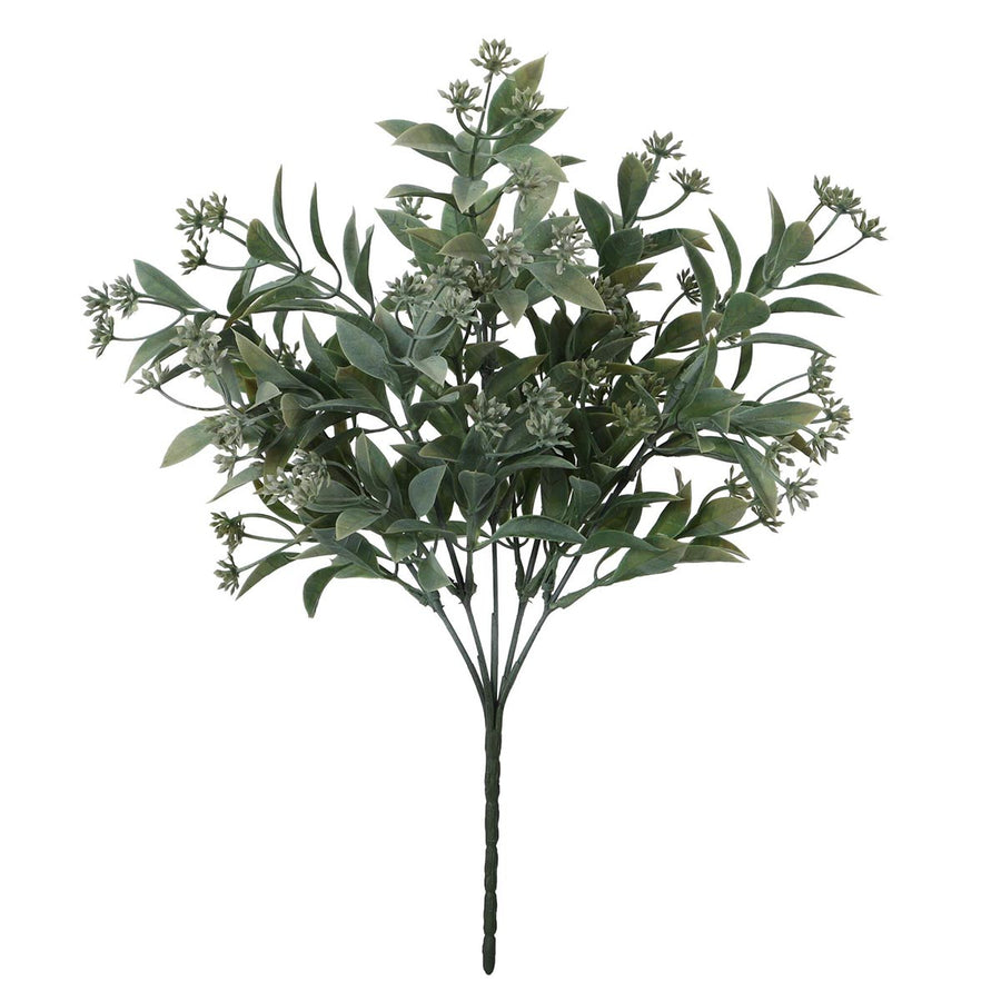 Art.9114 Planta Fina x5