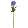 image variant Lavanda