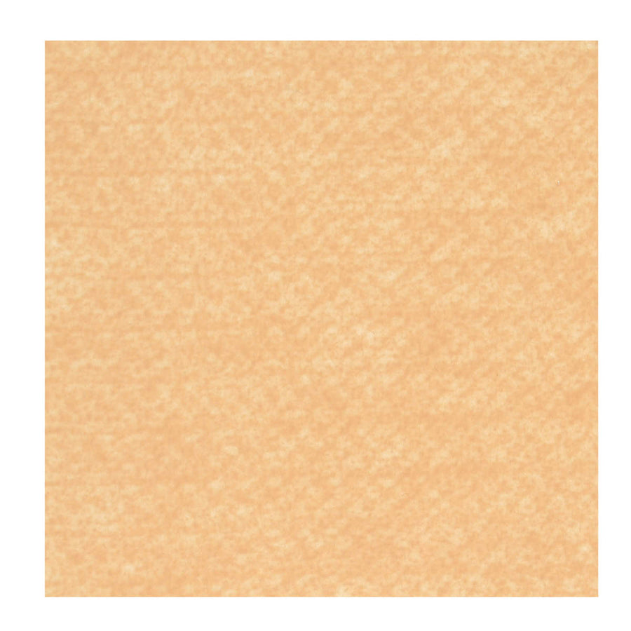 Art.943 Hoja de Fieltro
