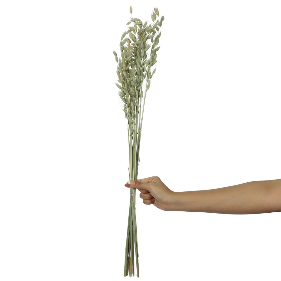 Art.9969 Ramo Avena 70cm 1pz