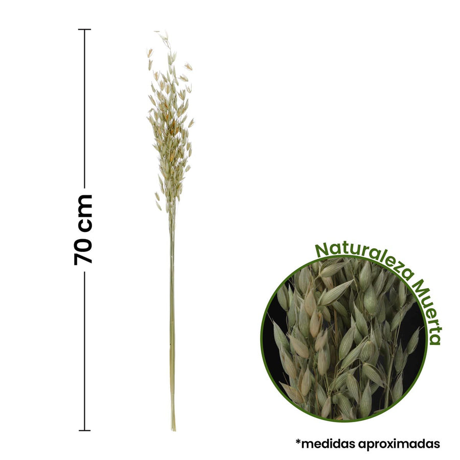 Art.9969 Ramo Avena 70cm 1pz