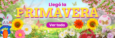Fantasías Miguel