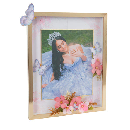 Marco Xv Años Mariposas