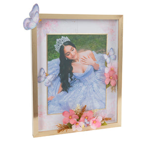 Marco Xv Años Mariposas