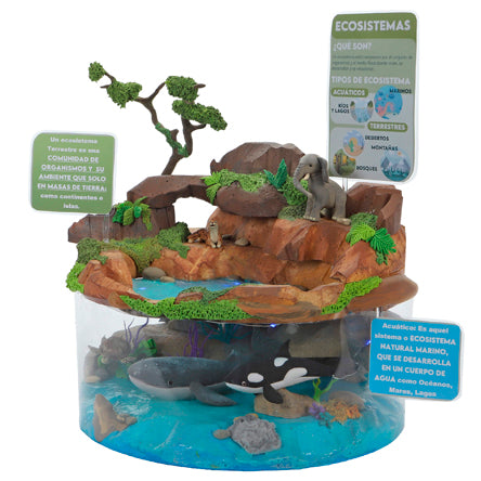 Maqueta Ecosistema Terrestre Y Acuático