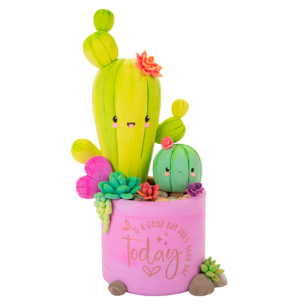 Maceta Cactus Suculenta