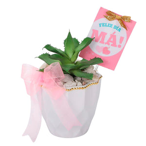 Maceta Cactus Tarjeta Mamá
