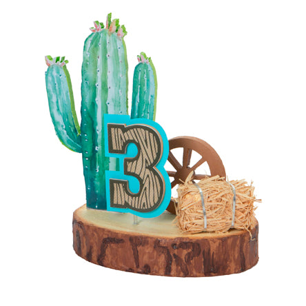 Centro De Mesa Cactus