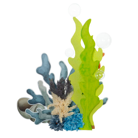 Alga 3