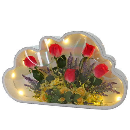 Lámpara De Nube