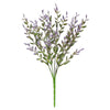 image variant Morado