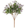 image variant Lavanda