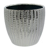 image variant Plata