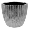 image variant Plata
