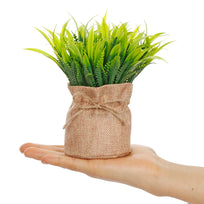 Art.10541 Planta Base De Yute 17.5cm 1pz