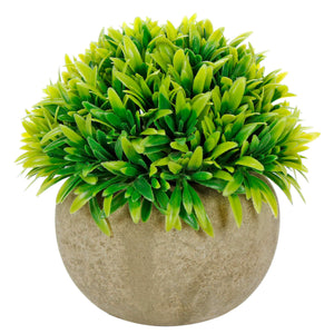 Art.10577 Planta Grd Red 12cm Base Fina