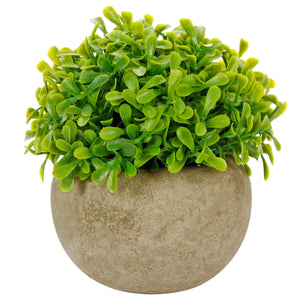 Art.10578 Planta Grd Red 12cm Base Fina