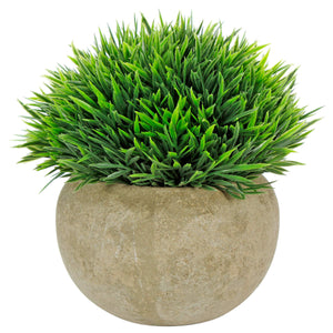 Art.10579 Planta Grd Red 12cm Base Fina