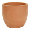 image variant Terracota