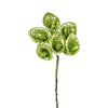 image variant Verde Lima