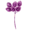 image variant Morado