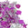Fantasías Miguel Art.11186 Surtido Fiesta Rosa/Azul Varios Tamaños 50g Rosa Laser