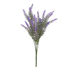 image variant Lavanda