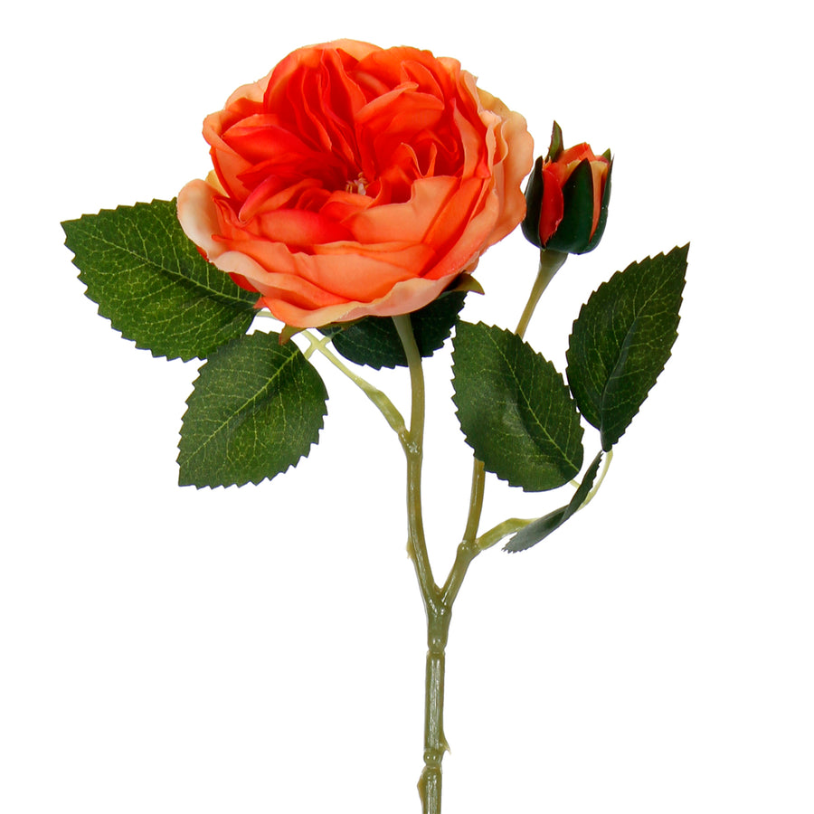 Art.1245 Vara Rosa Fina Con Botón 50cm 1pz