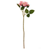 image variant Rosa