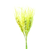 image variant Crema