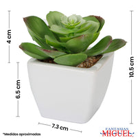 Cactus con Base de Ceramica
