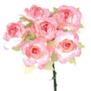 image variant Rosa Claro