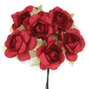 image variant Rojo