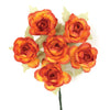 image variant Naranja