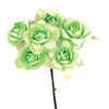 image variant Verde
