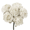 image variant Blanco