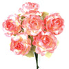 image variant Rosa Claro
