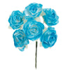 image variant Azul Claro
