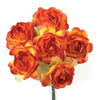 image variant Naranja