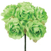 image variant Verde