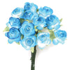image variant Azul Claro