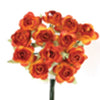 image variant Naranja
