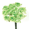 image variant Verde